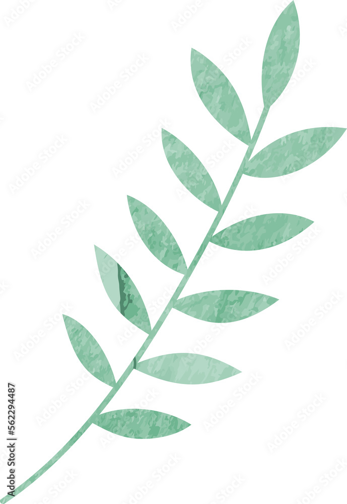 Watercolor winter leaf branch Watercolor winter leaf branch