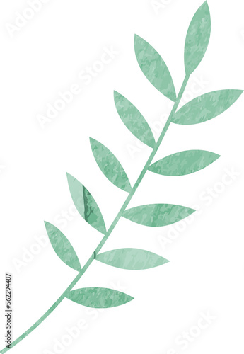 Watercolor winter leaf branch