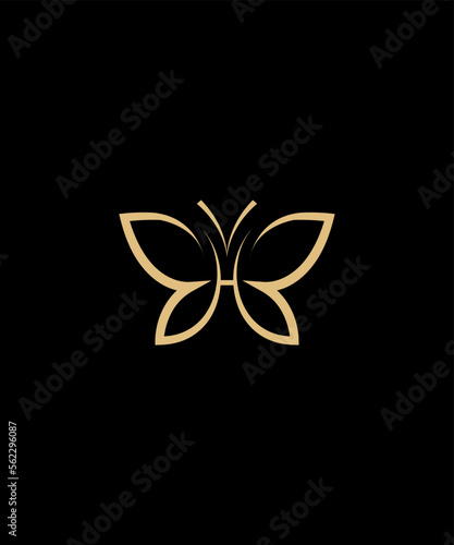 Butterfly with H letter logo design illustration