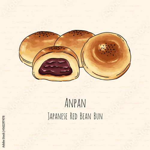Hand drawn Anpan, Japanese Red Bean Bun