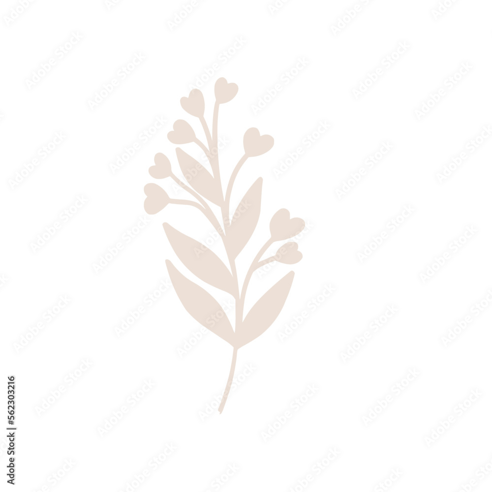 tree branches, eucalyptus, palm leaves, herbs and flowers silhouettes tree branches, eucalyptus, palm leaves, herbs and flowers silhouettes