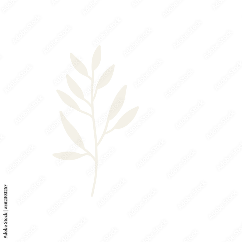tree branches, eucalyptus, palm leaves, herbs and flowers silhouettes tree branches, eucalyptus, palm leaves, herbs and flowers silhouettes