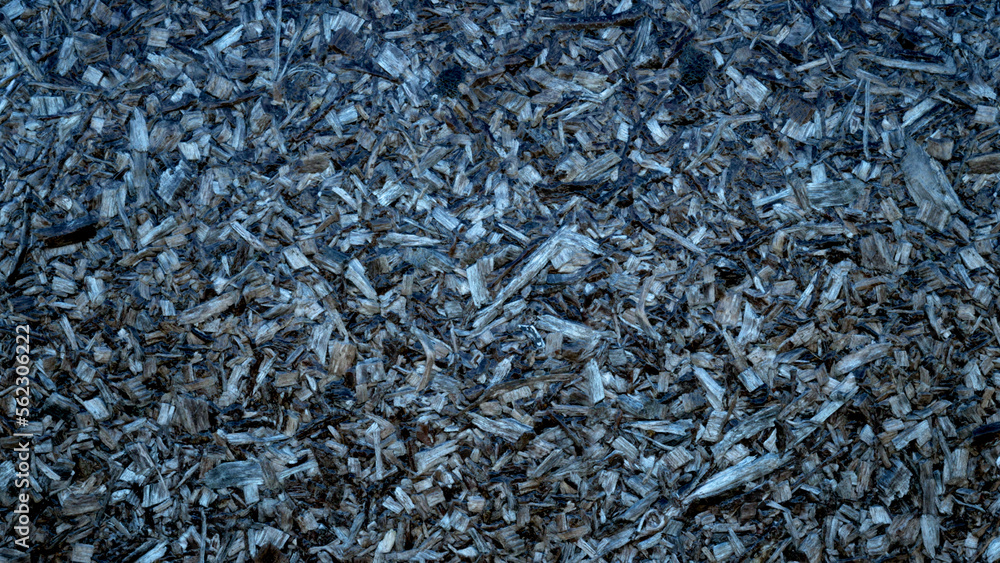 Close up of dried twigs which can be used as natural background.
Close up of dried twigs which can be used as natural background.
