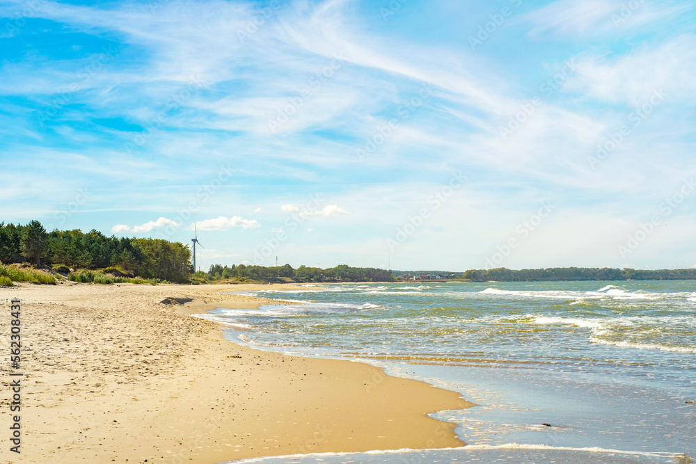 A sandy seashore with green bushes along the edge. Background with a summer view of the sandy beach.