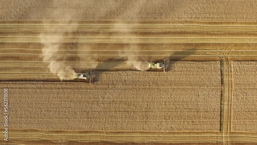 Harvesting using combiners covered with dust from crops. Aerial footage of machinery operating in wheat farm. High quality 4k footage photo