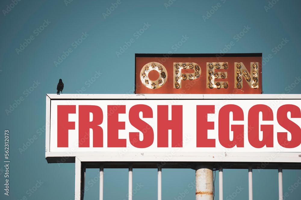 Aged and worn fresh eggs sign