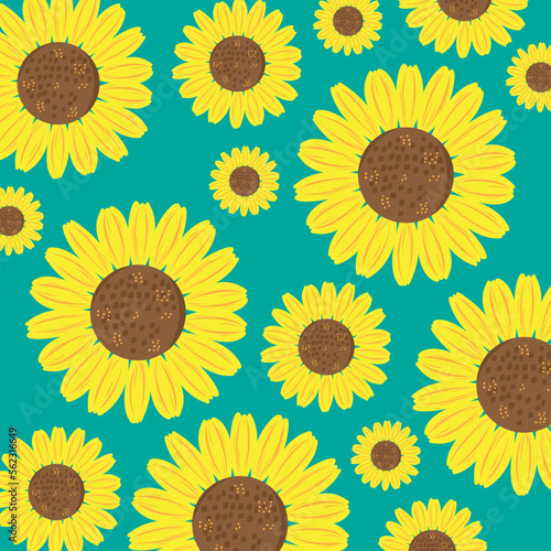 sunflower illustration