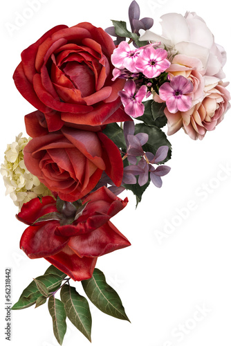 Red roses isolated on a transparent background. Png file.  Floral arrangement  bouquet of garden flowers. Can be used for invitations  greeting  wedding card.