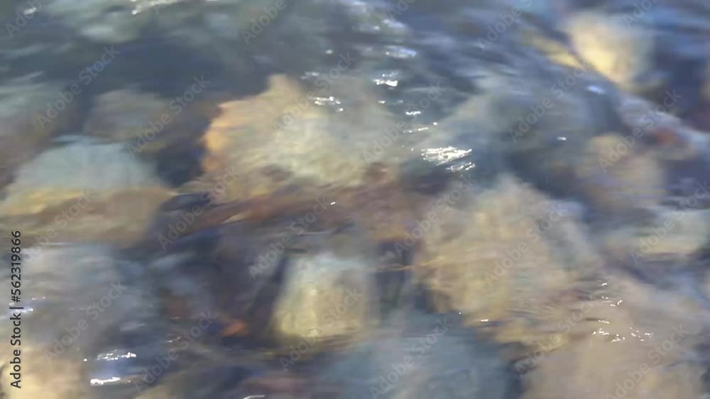 The river flows and goes around the stones. The river flows and goes around the stones.