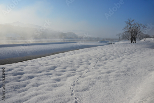 雪国魚沼の冬の朝霧湧く魚野川岸雪原 © tqmnk924