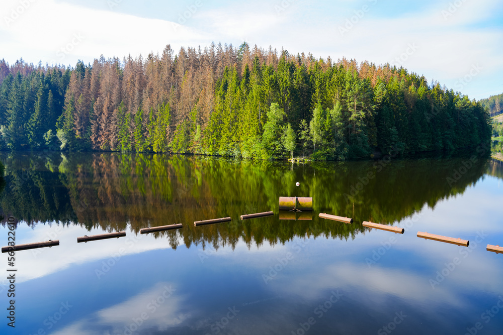 Oker reservoir near Altenau in the Harz Mountains. View from the Okertalsperre to the Oker See and the surrounding landscape. Idyllic nature by the water.
