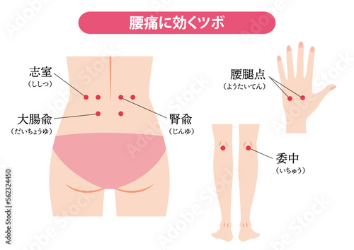 腰痛に効くツボ