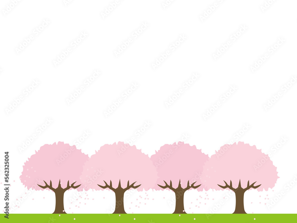 桜の木4B