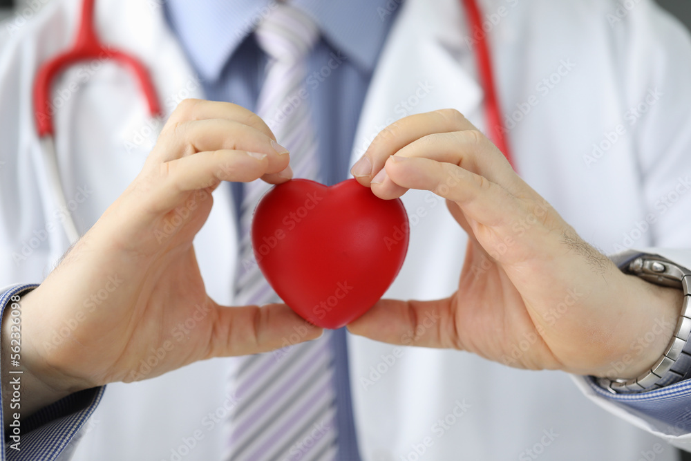 Doctor cardiologist holding heart in cardiology clinic