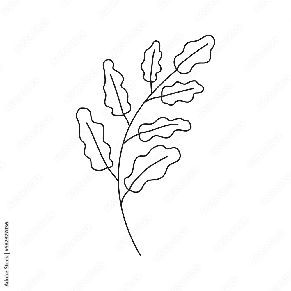 Hand drawn branch with leaves