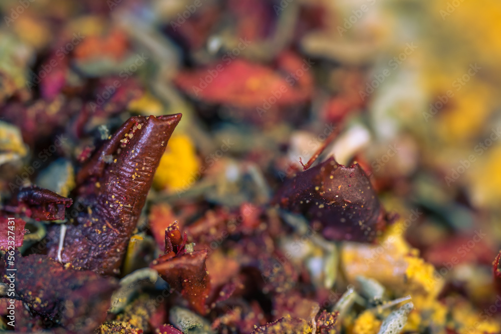 A mixture of different spices in close-up. Macro photo of spices. A mixture of different spices in close-up. Macro photo of spices.