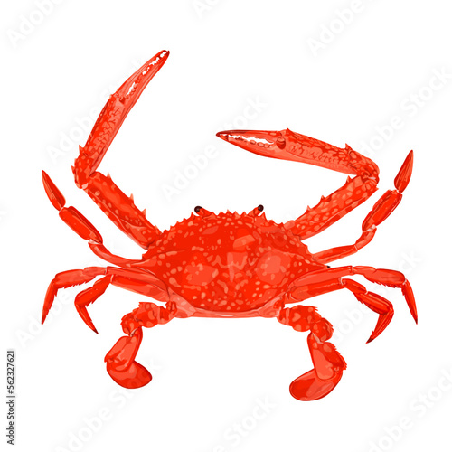 Steamed Blue Crab isolated on white background, vector illustration