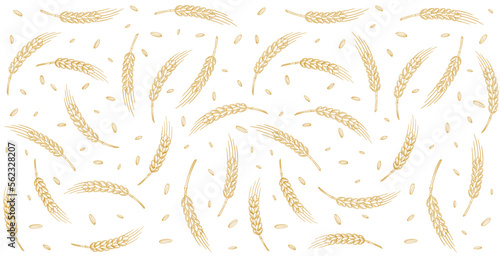 Cereal pattern background. Grains and ears of wheat, rye or barley. Wrapping paper for bread. Vector illustration.