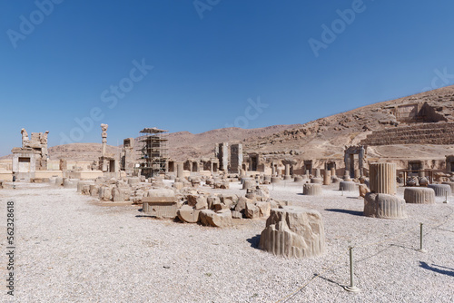 View of the ruins and columns of the ancient city Persepolis, in Shiraz, Iran
