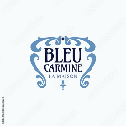 Flourish frame logo design template