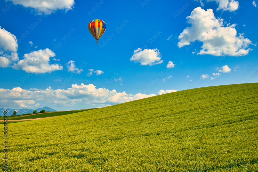 Naklejka premium 丘の町・美瑛の美しい田園風景