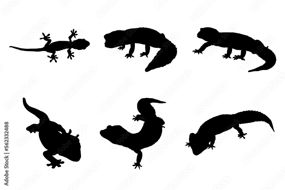 Set of silhouettes of geckos vector design