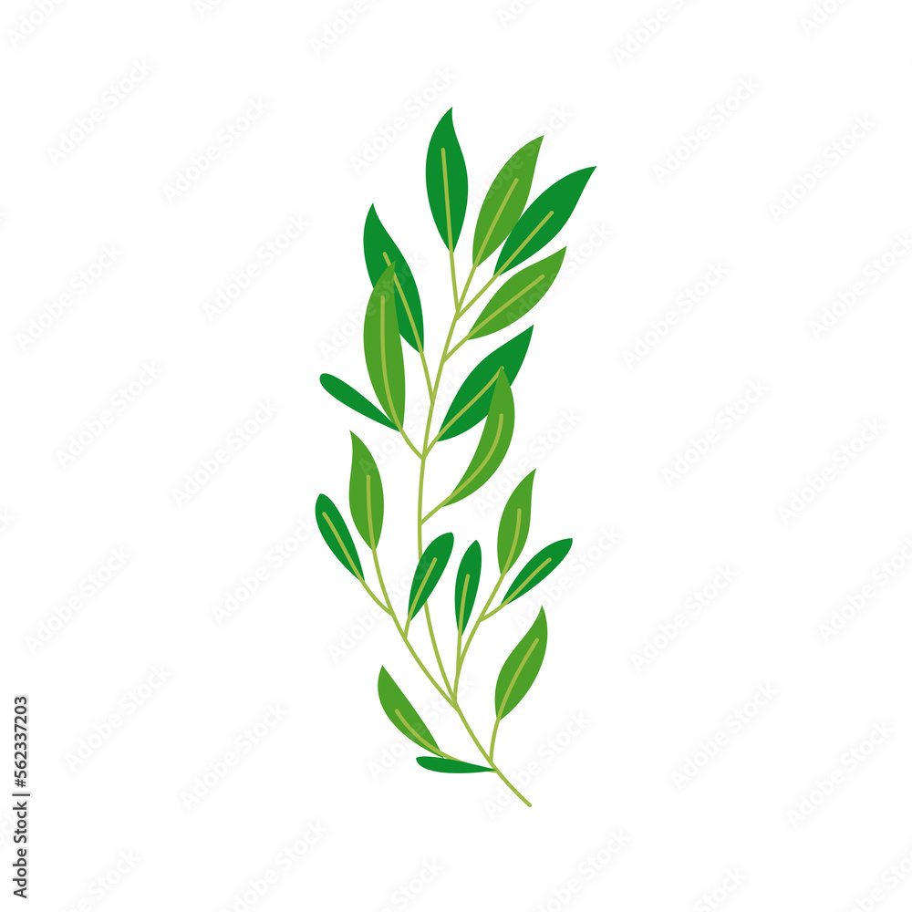 laurel wreath isolated laurel wreath isolated