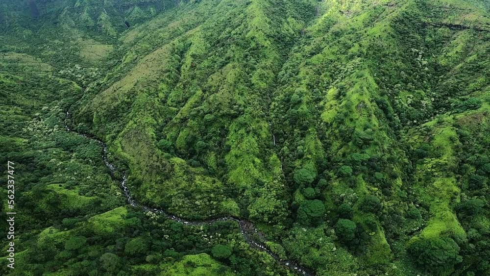 Aerial View of Rolling Hills and Green Landscape with River in Kauai Hawaii Aerial View of Rolling Hills and Green Landscape with River in Kauai Hawaii