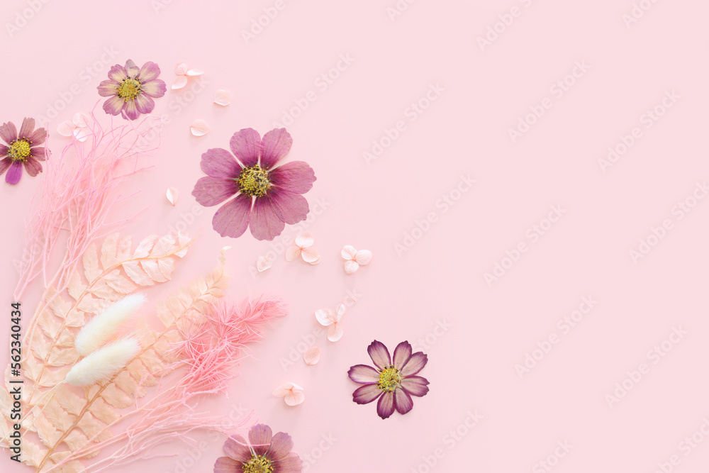 Top view image of pink dry flowers over pastel background .Flat lay