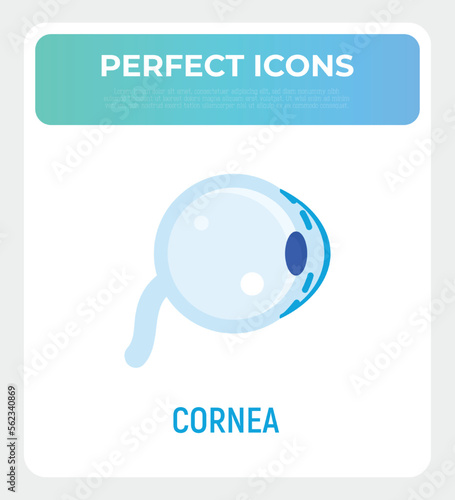 Cornea flat icon. Structure of human eye. Ophthalmology. Vector illustration.