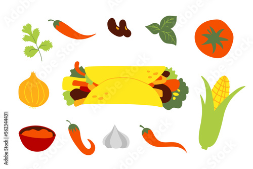 Mexican fast food burrito recipe ingredients. Isolated vector flat illustration for decor and design.