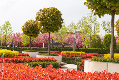 Krasnodar City Park or Galitsky Park. Landscape design.