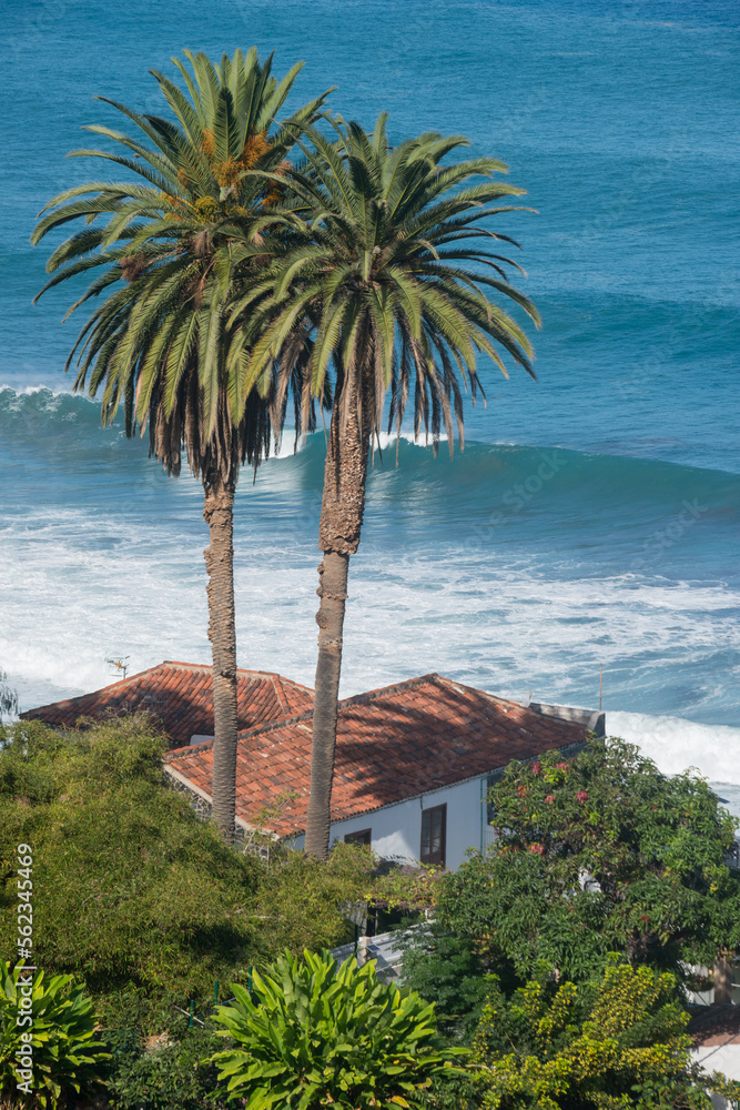 Casa con palmeras en la costa del Socorro en Los Realejos al norte de la isla de Tenerife en Canarias