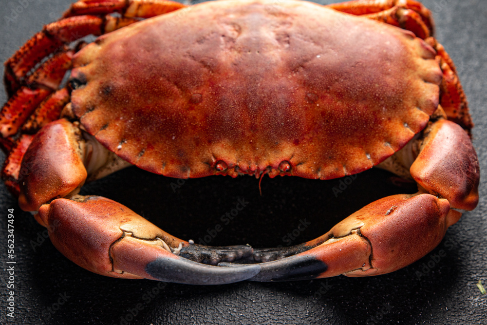 crab seafood boiled shellfish ready to eat fresh meal food snack on the table copy space food background rustic top view crab seafood boiled shellfish ready to eat fresh meal food snack on the table copy space food background rustic top view