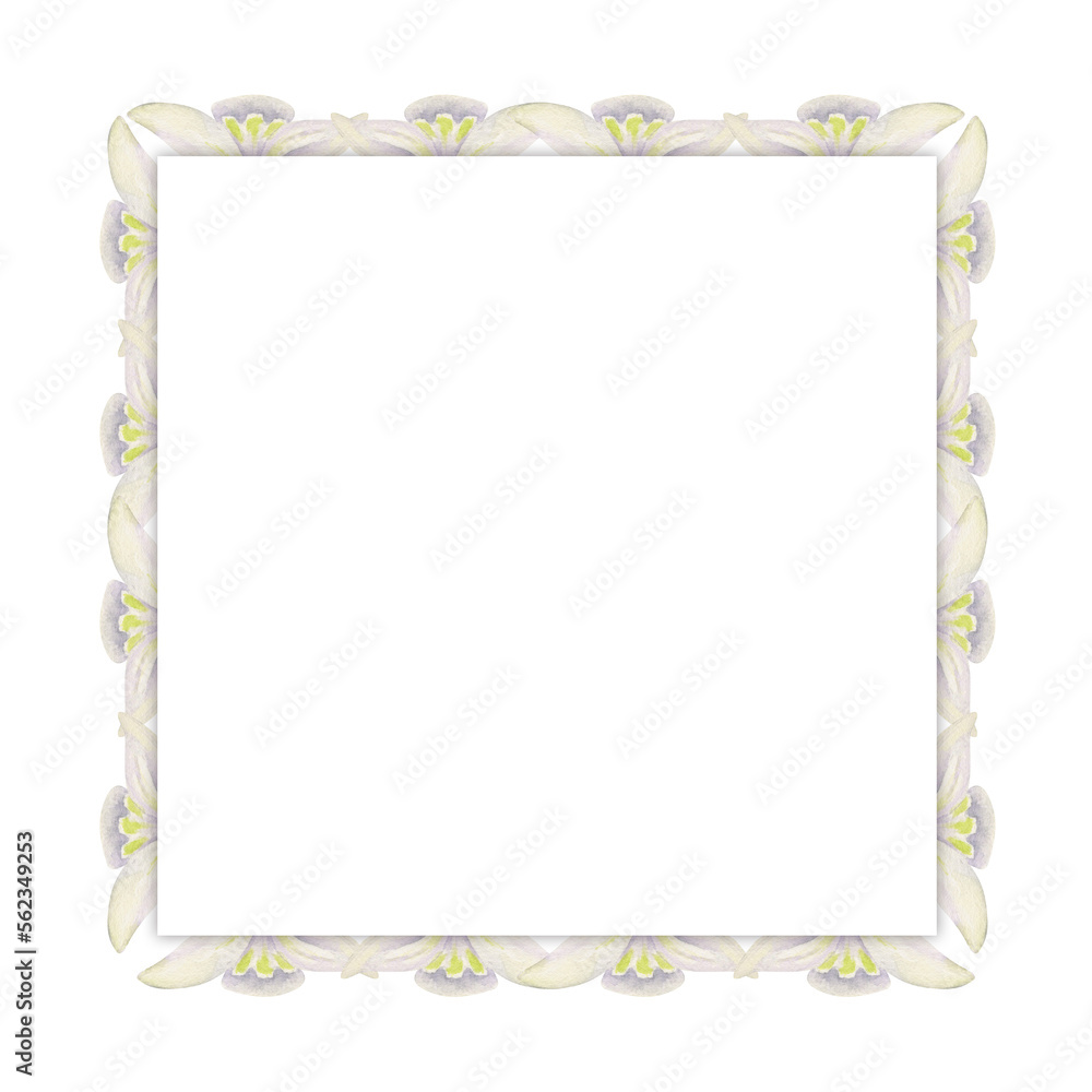 Watercolor hand drawn square frame with spring flowers, snowdrops, green fresh leaves. Isolated on white background. Design for invitations, wedding, greeting cards, wallpaper, print, textile. Watercolor hand drawn square frame with spring flowers, snowdrops, green fresh leaves. Isolated on white background. Design for invitations, wedding, greeting cards, wallpaper, print, textile.