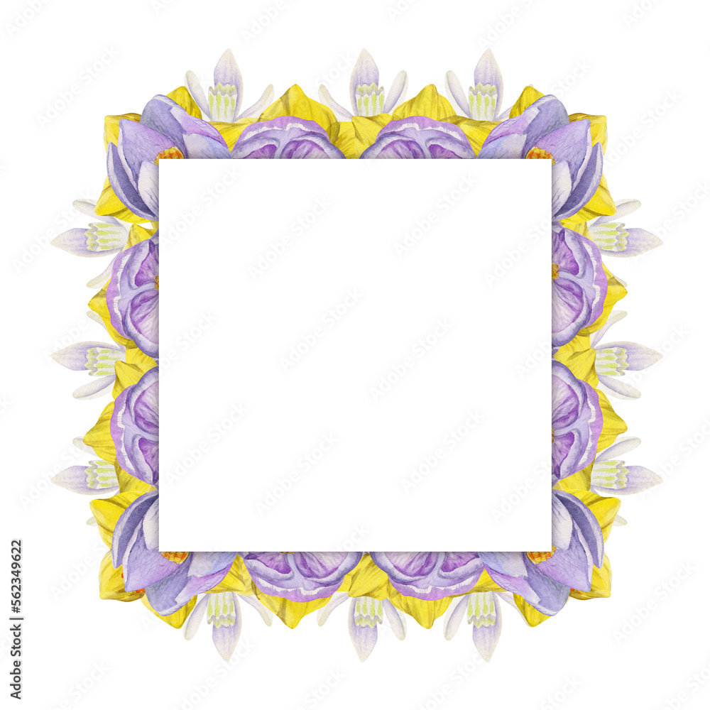Watercolor hand drawn square frame with spring flowers, crocus, snowdrops, daffodils, leaves. Isolated on white background. Design for invitations, wedding, greeting cards, wallpaper, print, textile. Watercolor hand drawn square frame with spring flowers, crocus, snowdrops, daffodils, leaves. Isolated on white background. Design for invitations, wedding, greeting cards, wallpaper, print, textile.