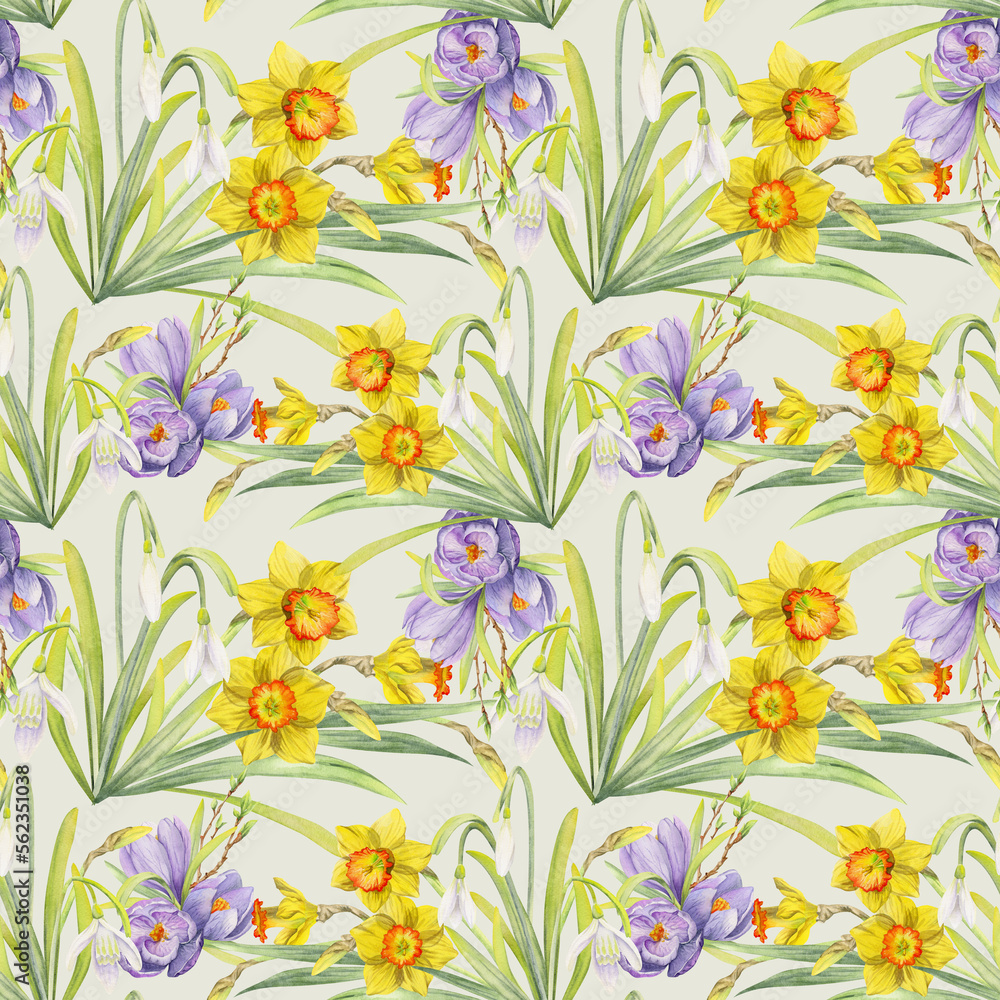Watercolor hand drawn seamless pattern with spring flowers, daffodils, crocus, snowdrops. Isolated on white background Design for invitations, wedding, greeting cards, wallpaper, print, textile.