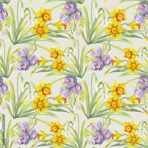Watercolor hand drawn seamless pattern with spring flowers, daffodils, crocus, snowdrops. Isolated on white background Design for invitations, wedding, greeting cards, wallpaper, print, textile.