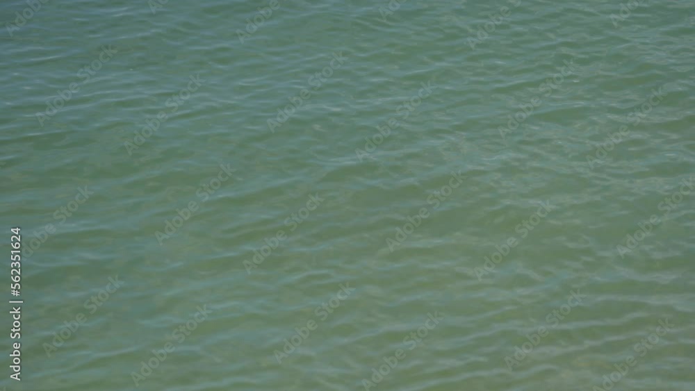 Nice Water Texture With Ripple and Waves - Static Top View Close Up Nice Water Texture With Ripple and Waves - Static Top View Close Up