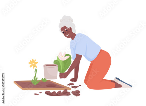 Senior woman planting flowers in front yard semi flat color vector character. Editable figure. Full body person on white. Simple cartoon style illustration for web graphic design and animation