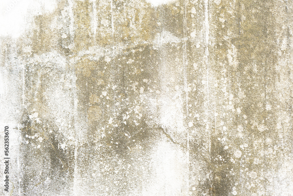 Fototapeta premium Abstract background. Monochrome texture. Image includes a effect the black and white tones