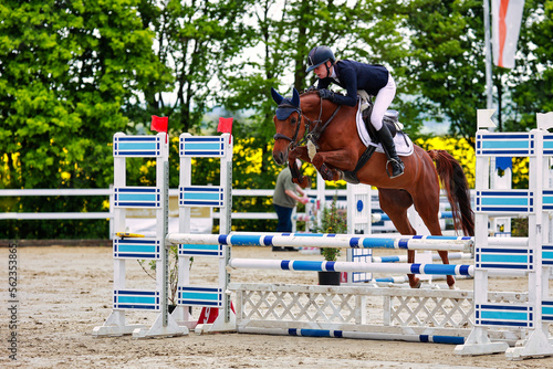 Show jumper with a brown horse jumping over an obstacle, photographed diagonally from the side..