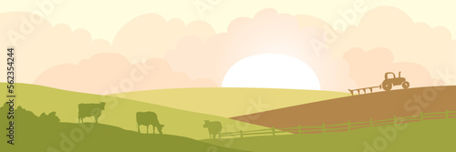 Abstract rural landscape with cows and plowing tractor. Vector illustration, fields and meadows