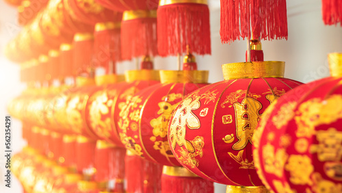 Traditional Chinese New Year lanterns lined up beautifully.