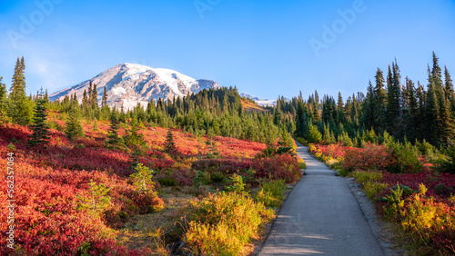 Skyline Trail along Mt Rainier in Mount Rainier National Park in Washington