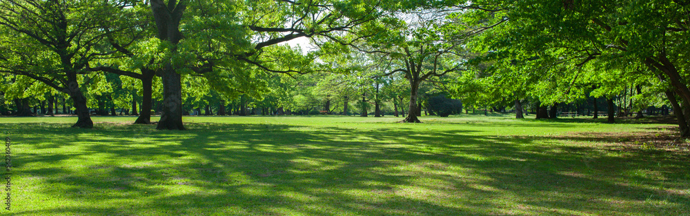 banner image of green garden