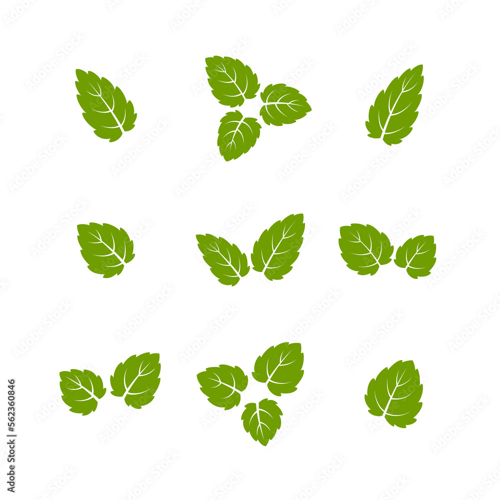 Set of green leaves. Leaves isolated on white background. Flat style. Vector illustration. Set of green leaves. Leaves isolated on white background. Flat style. Vector illustration.
