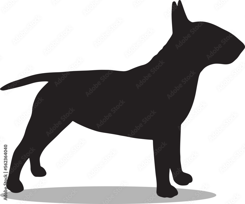 Bull Terriers Silhouette, cute Bull Terriers Vector Silhouette, Cute Bull Terriers cartoon Silhouette, Bull Terriers vector Silhouette, Bull Terriers icon Silhouette, Bull Terriers Silhouette illustra
