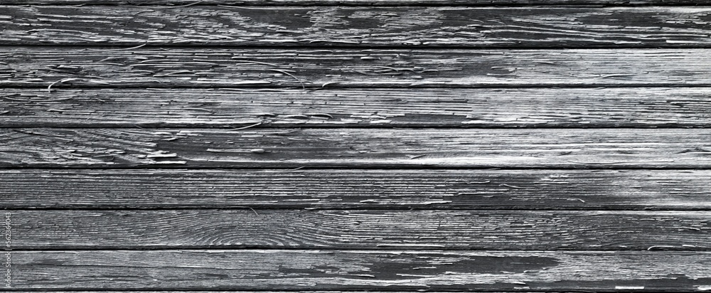 Fototapeta premium white, grey wood texture. background old panels