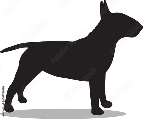 Fotografia, Obraz Bull Terriers Silhouette, cute Bull Terriers Vector Silhouette, Cute Bull Terrie
